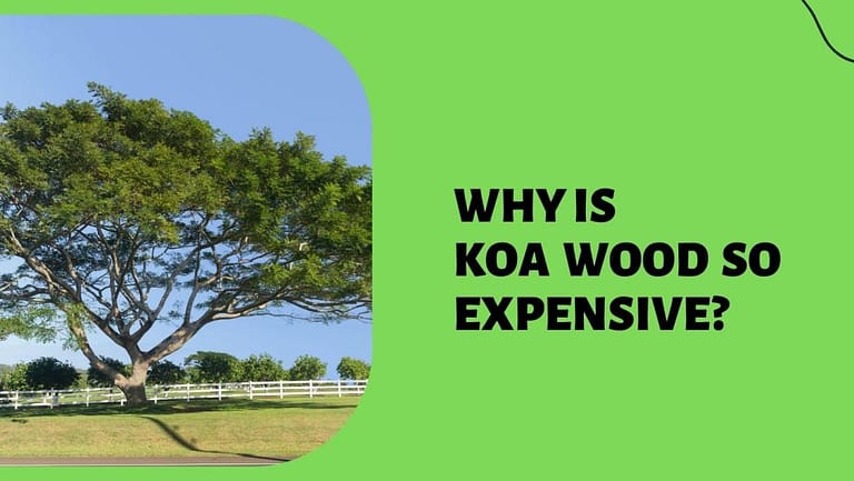 Why Is Koa Wood So Expensive