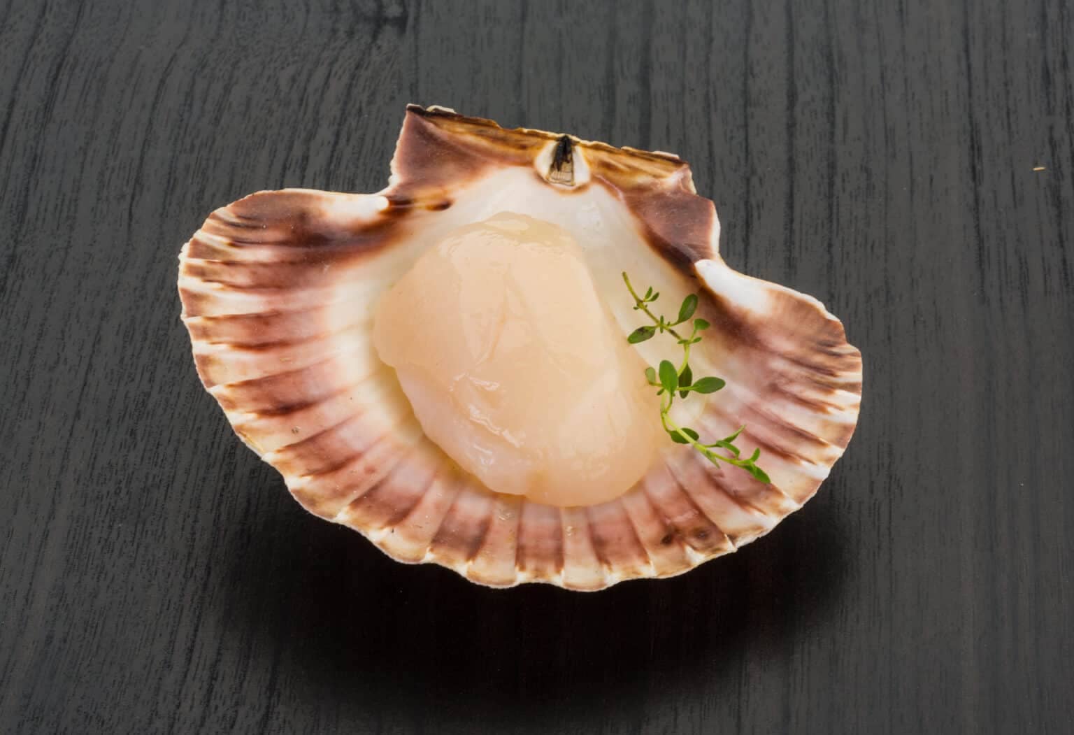 Uncovering the Truth: Why Are Scallops Expensive?