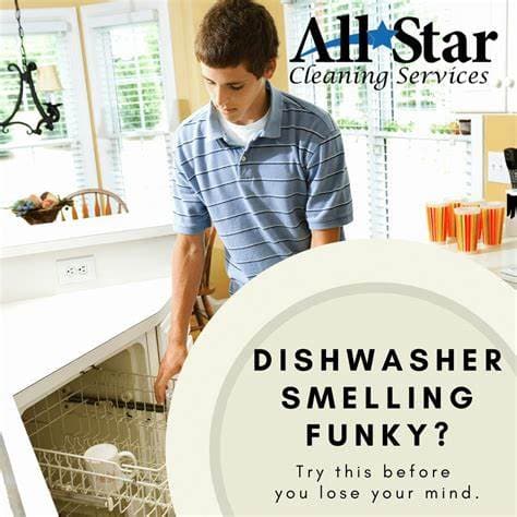 Why Do My Dishes Smell Like Wet Dog After Dishwasher? Find Out!